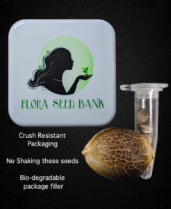 flora seed bank cannabis seeds marijuana seeds weed seeds cheap weed seeds cheap cannabis seeds best cannabis seeds